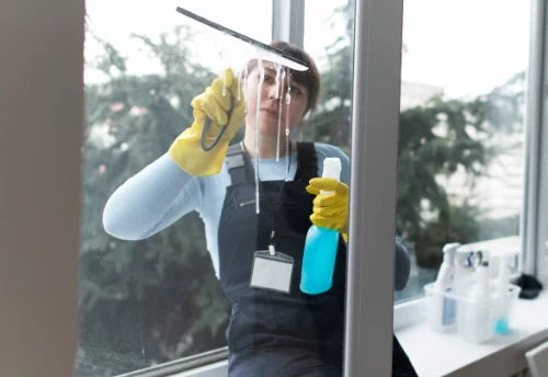 Nettoyage de vitres intérieures et extérieures à Sallebœuf